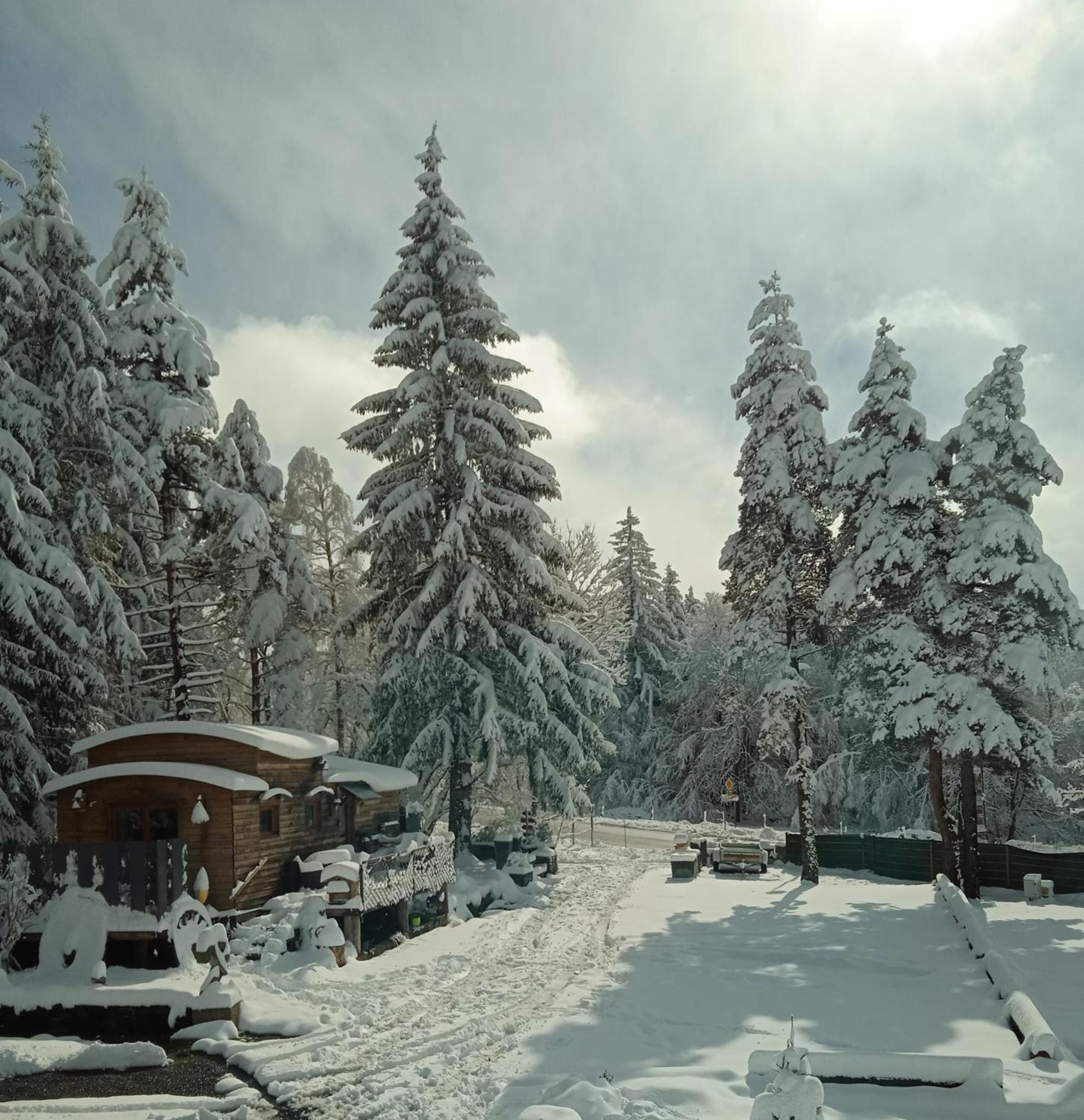 Camping Coccinelle Domaine De La Mamounette Champclause