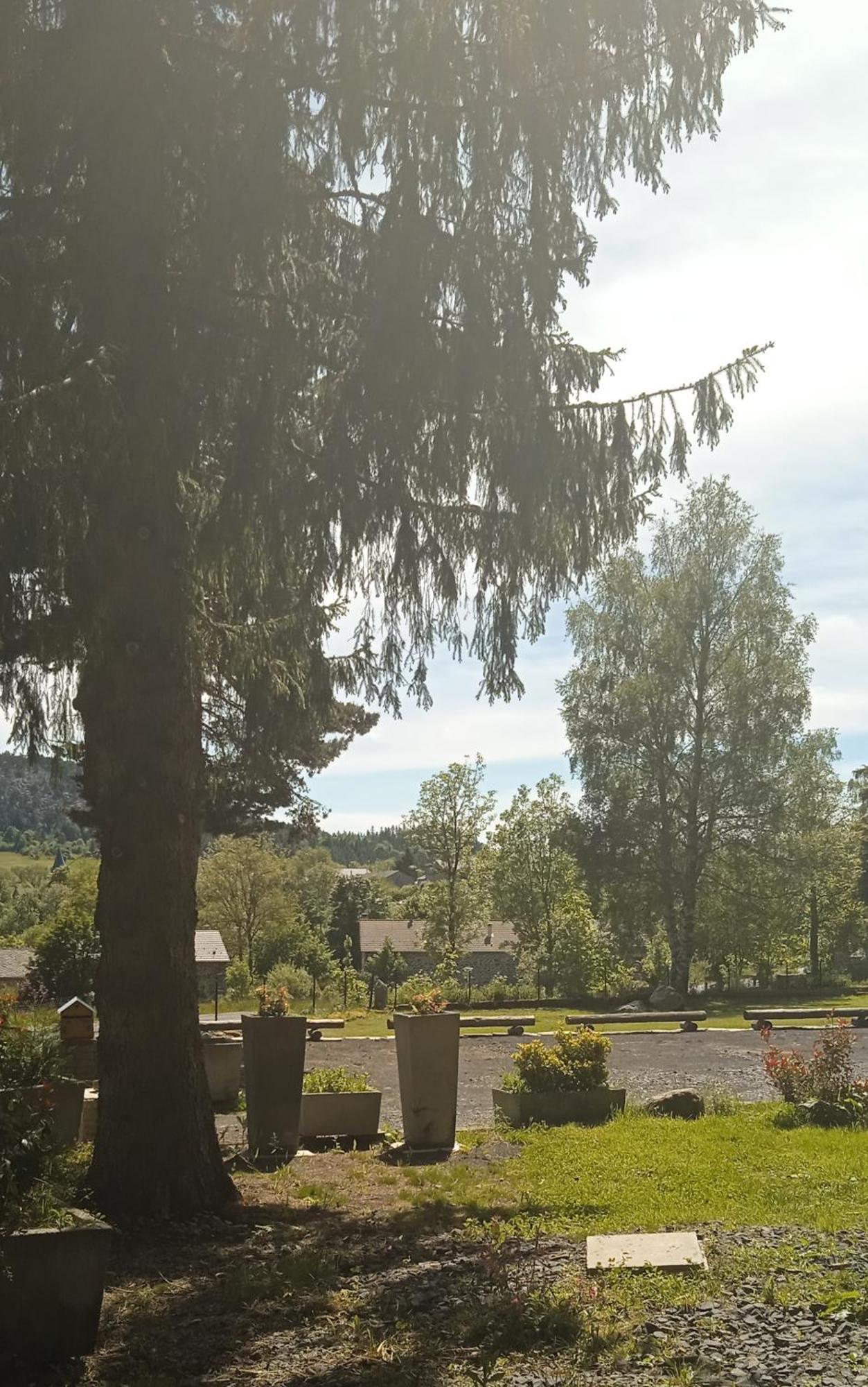 Coccinelle Domaine De La Mamounette * Champclause